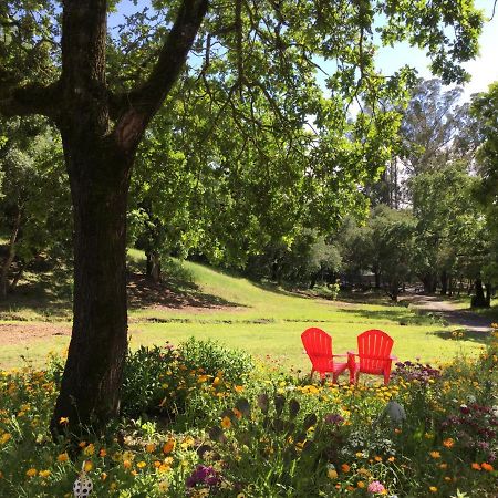 סנטה רוזה Amitabha Wine Country Cottage מראה חיצוני תמונה