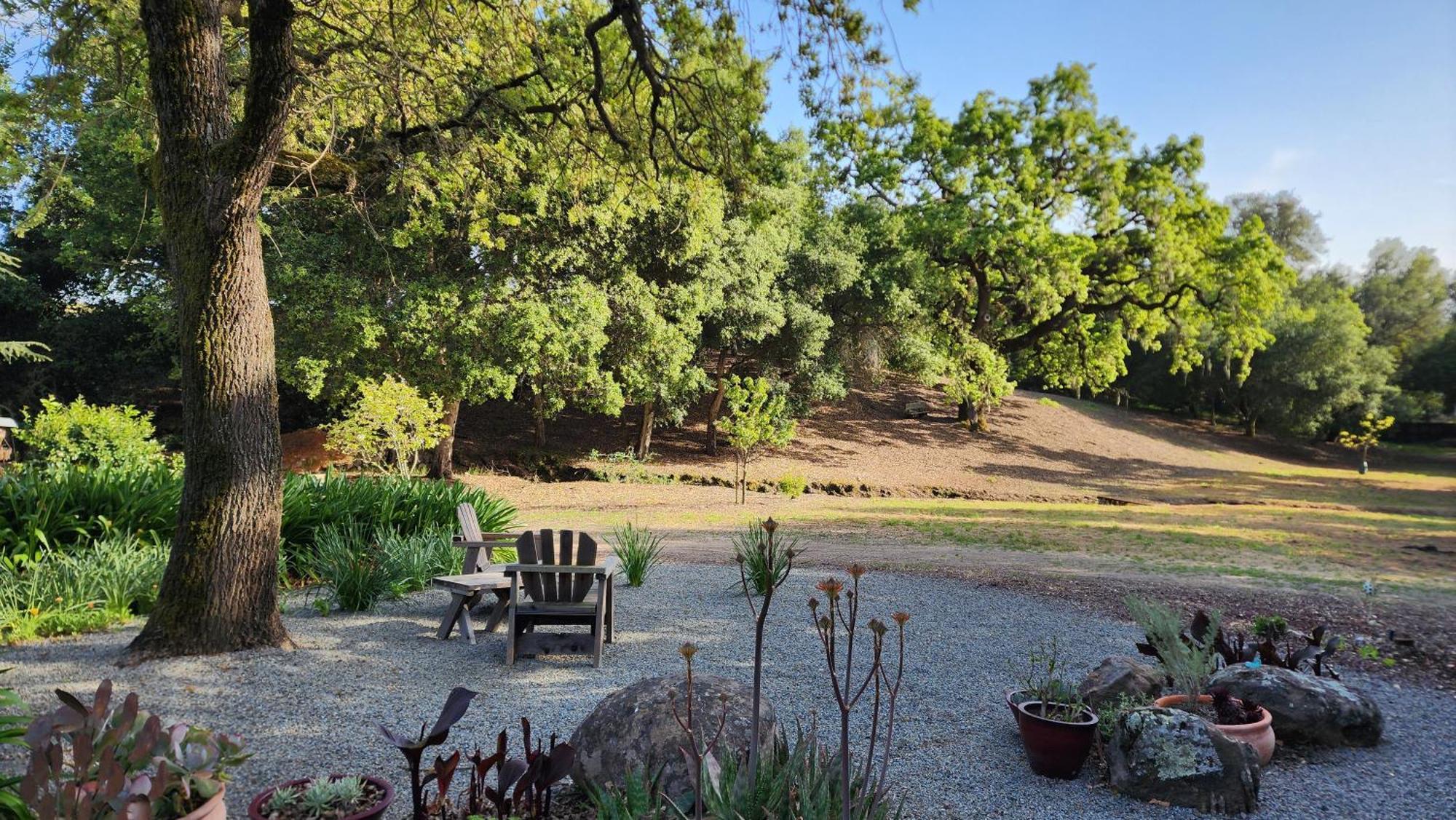 סנטה רוזה Amitabha Wine Country Cottage מראה חיצוני תמונה