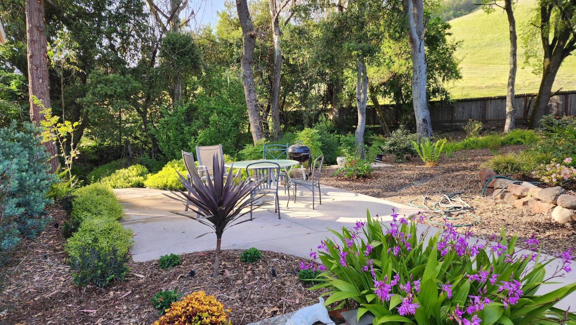 סנטה רוזה Amitabha Wine Country Cottage מראה חיצוני תמונה