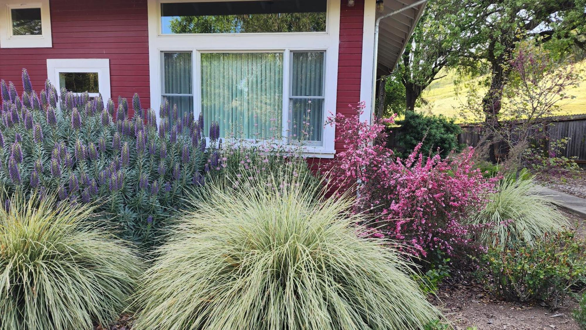 סנטה רוזה Amitabha Wine Country Cottage מראה חיצוני תמונה