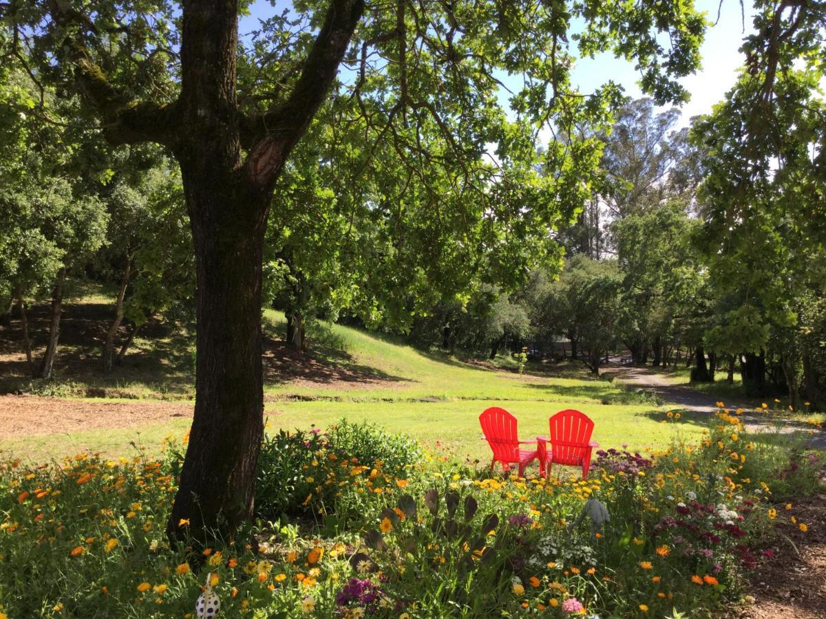 סנטה רוזה Amitabha Wine Country Cottage מראה חיצוני תמונה